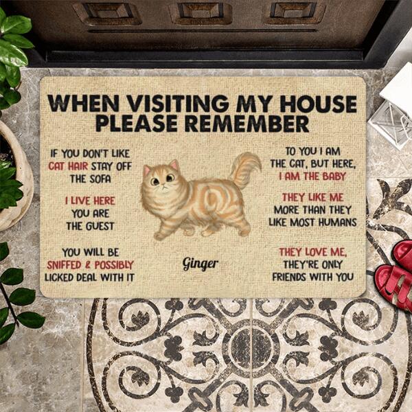 When Visiting My House Please Remember Personalized Doormat - Cat's style and name can customize