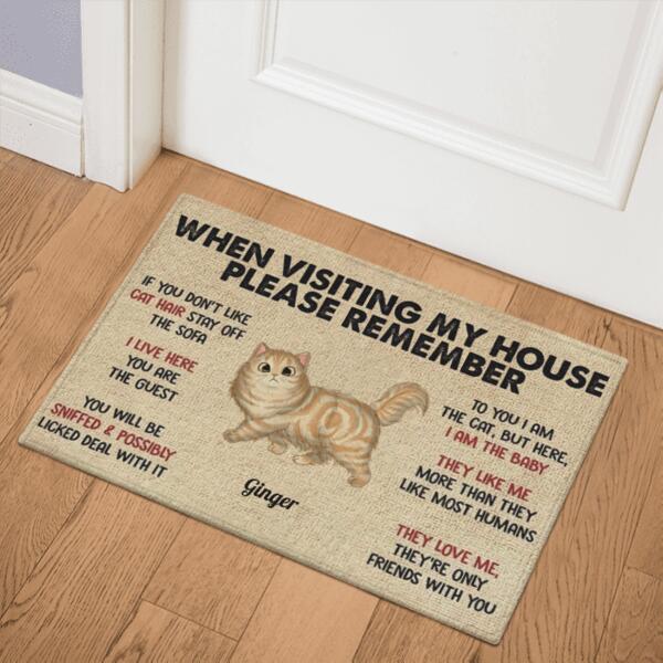 When Visiting My House Please Remember Personalized Doormat - Cat's style and name can customize