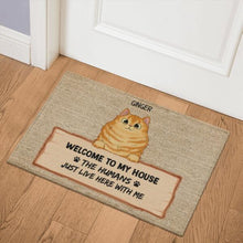 Load image into Gallery viewer, Welcome Home Fluffy Cat Personalized Doormat
