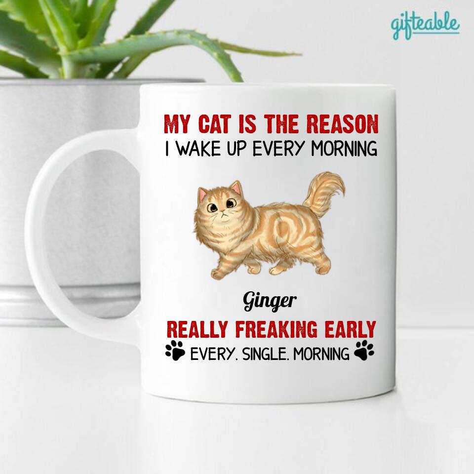 Reason I Wake Up Early Walking Fluffy Cats Personalized Mug