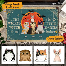 Load image into Gallery viewer, Vintage Halloween Cats Personalized Doormat
