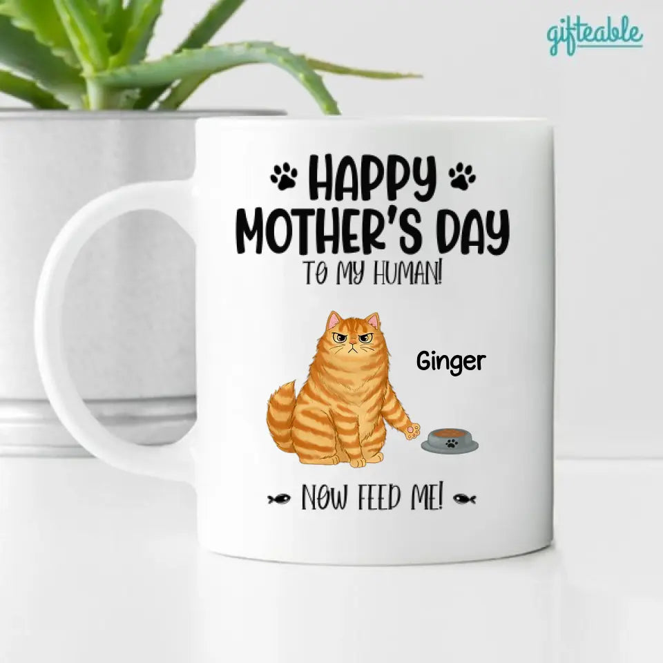 Happy Mother‘s Day Angry Cats Personalized Coffee Mug