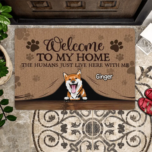 Welcome To Our Home Dog And Cat Personalized Doormat