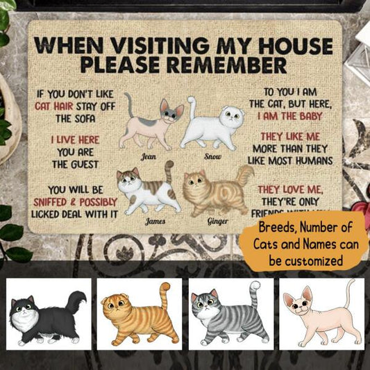 When Visiting My House Please Remember Personalized Doormat - Cat's style and name can customize