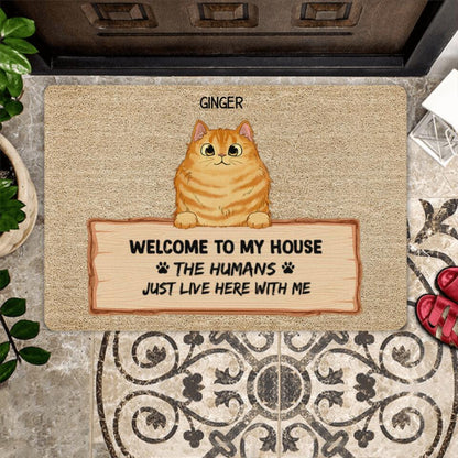 Welcome Home Fluffy Cat Personalized Doormat