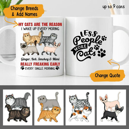 Reason I Wake Up Early Walking Fluffy Cats Personalized Mug